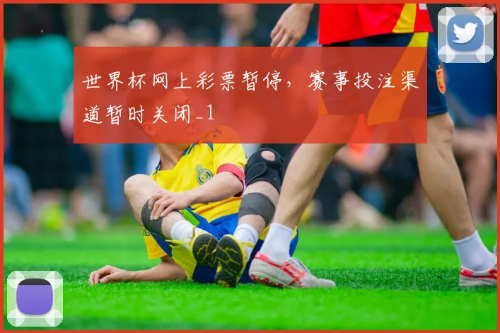 世界杯网上彩票暂停，赛事投注渠道暂时关闭_1